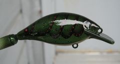 Green Craw Speed Trap