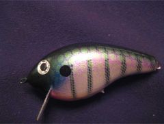 My First Handmade Crankbait