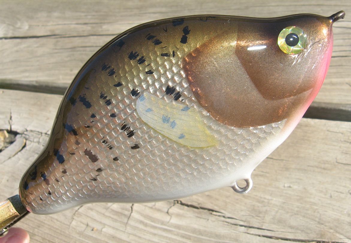 6 Crappie Glide Bait - Hard Baits -  - Tackle  Building Forums