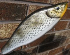 Yake Bait - Cisco Pattern