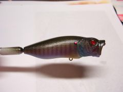 sebile & predator baits