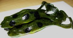 Custom Frogs