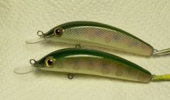 Two Brok Trout