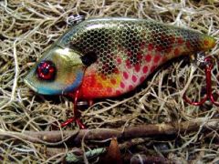 TENNESSEE BLUEGILL