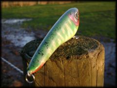 Custombait