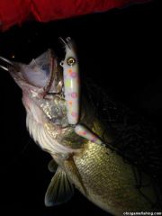 Lake Erie Walleye Night Fishing