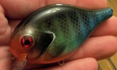 new bluegill pattern