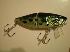My first swimbait (all hand made) ^^