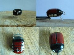 My beetle for polish chub