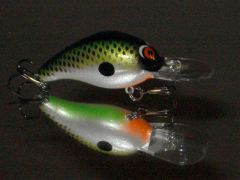 Bandit 200 in Crazy eyed shad