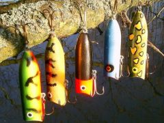 Another favourite topwater lure