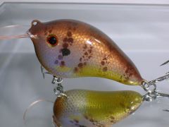 Latest Balsa bream/blue gill versions