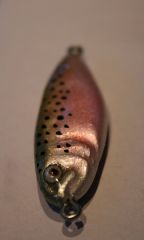 Smallest trout ever!