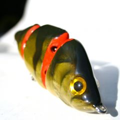 New Perch Swimbait