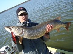 Spring pike