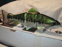 JSJ Snack Sized Trout Repaint