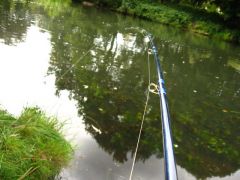 jerk bait rod