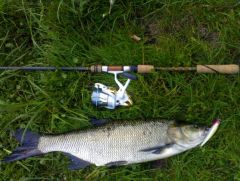 first rod (walleye stick)