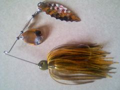 My first spinnerbait