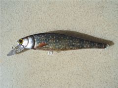 Brook Trout