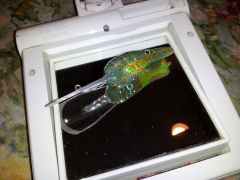 carved craw crank green3