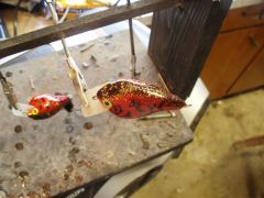 spankin crank square bill in patoka red copper craw