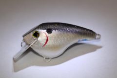 natural shad