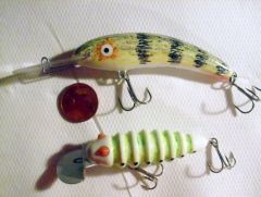 Pastel chalk painted perch and grub