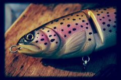 Lucky Trout 2