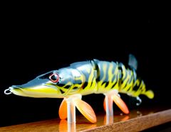 esox black tiger1