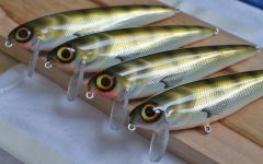 foiled perch cranks