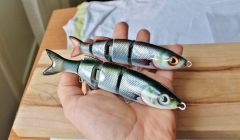 Couple of home made swimbaits