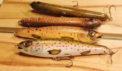 brown trout and rainbow trout gliders