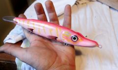 the pink bad pike