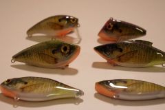 Bluegills