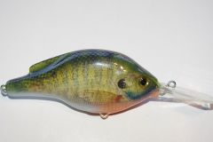 Bluegill