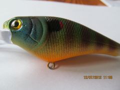 1st try @ a Pumpkinseed Sunny