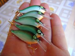 extreme  flat lures