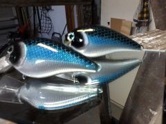 chrome Ish shad