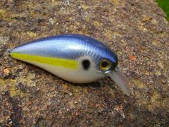 KVD 2.5 Square Bill - Shad