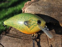 1.5 Green Sunfish