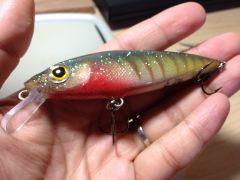 Another Balsa lure