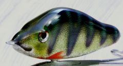 Glittered perch