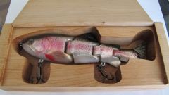 Natural Rainbow Injured Trout