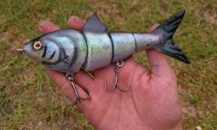 Custom Baitfish