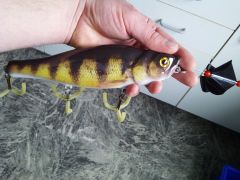 8 inch wood perch spook and buzz bait, just add buzz attachment