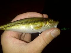 PHOTO FINISH BASS POPPER 5 IN 010