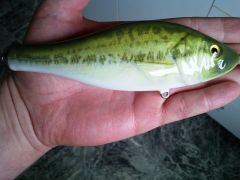 My True Image foiled and painted  largemouth 6inch wood glide