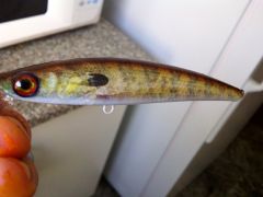 New photo finish lures Nov 2011 042