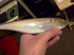 Threadfin Shad 7 1/2 inch Poplar wood Glidebait